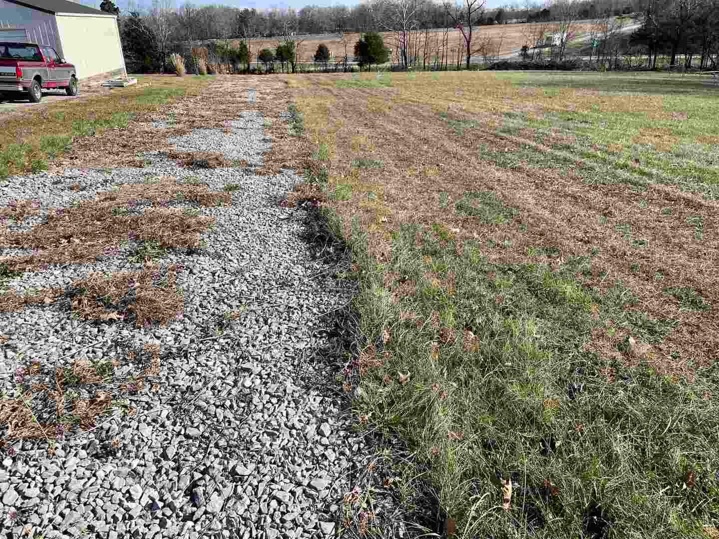TBD Tulip Lane