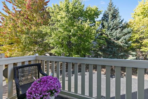 Tiny photo for 2573 Canyon Drive, Plainfield, IL 60586 (MLS # 12508130)