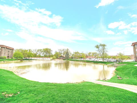 Tiny photo for 820 Elder Road #C115, Homewood, IL 60430 (MLS # 11970051)