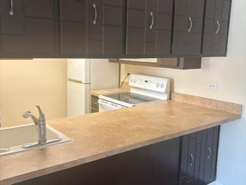Tiny photo for 820 Elder Road #C115, Homewood, IL 60430 (MLS # 11970051)