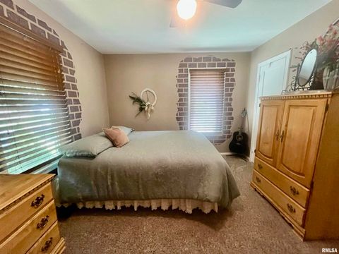 Tiny photo for 508 HILLCREST Street, Metropolis, IL 62960 (MLS # EB459326)