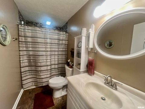 Tiny photo for 508 HILLCREST Street, Metropolis, IL 62960 (MLS # EB459326)