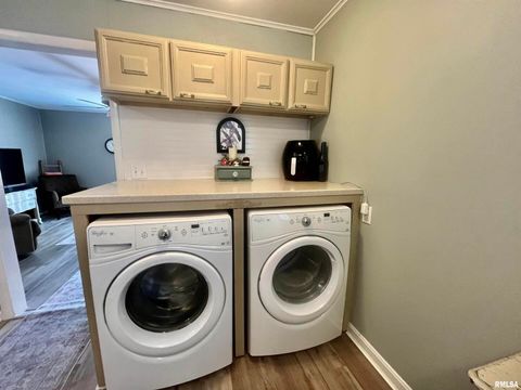 Tiny photo for 508 HILLCREST Street, Metropolis, IL 62960 (MLS # EB459326)