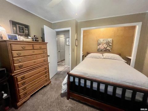 Tiny photo for 508 HILLCREST Street, Metropolis, IL 62960 (MLS # EB459326)