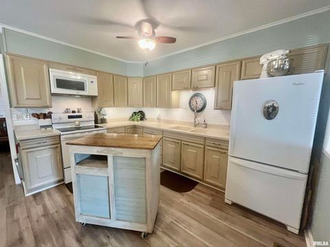 Tiny photo for 508 HILLCREST Street, Metropolis, IL 62960 (MLS # EB459326)