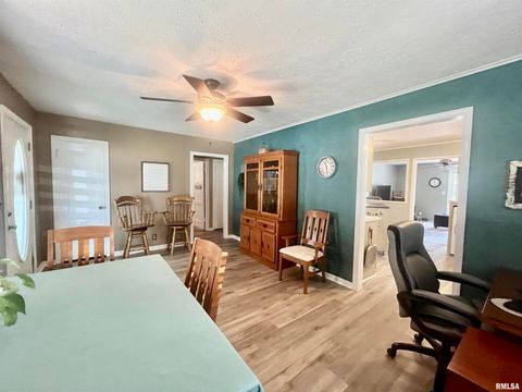 Tiny photo for 508 HILLCREST Street, Metropolis, IL 62960 (MLS # EB459326)