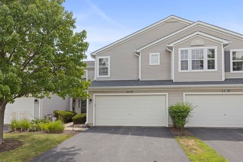 Photo of 6928 Creekside Drive, Plainfield, IL 60586 (MLS # 12408365)