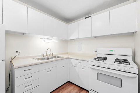 Tiny photo for 1450 E 55th Place #317S, Chicago, IL 60637 (MLS # 12460398)