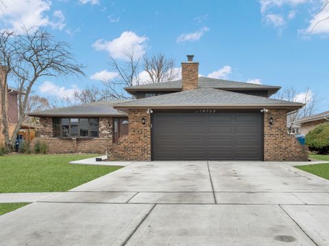 Photo of 10732 S Meadow Lane, Palos Hills, IL 60465 (MLS # 12578748)