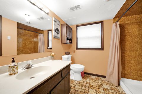 Tiny photo for 10732 S Meadow Lane, Palos Hills, IL 60465 (MLS # 12578748)