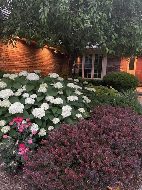 listing image 44