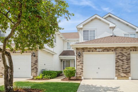 Photo of 226 Sierra Pass Drive, Schaumburg, IL 60194 (MLS # 12455793)