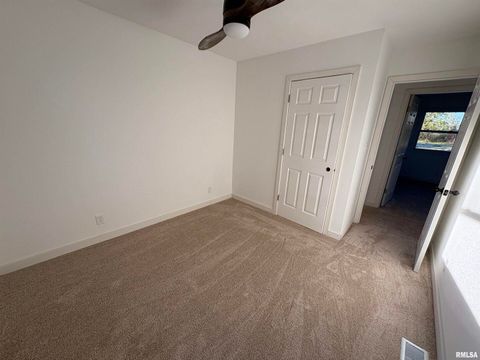 Tiny photo for 3305 Selmaville Road, Salem, IL 62881 (MLS # EB460242)