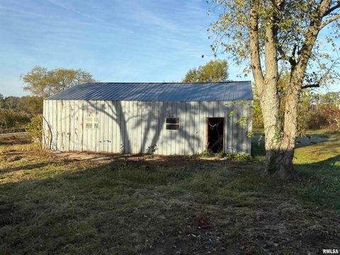 Tiny photo for 3305 Selmaville Road, Salem, IL 62881 (MLS # EB460242)