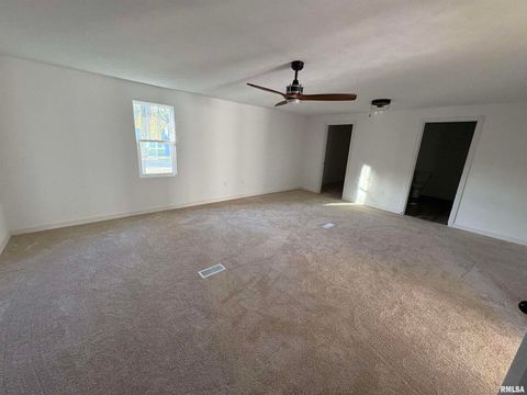 Tiny photo for 3305 Selmaville Road, Salem, IL 62881 (MLS # EB460242)