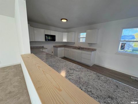 Tiny photo for 3305 Selmaville Road, Salem, IL 62881 (MLS # EB460242)