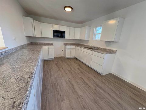 Tiny photo for 3305 Selmaville Road, Salem, IL 62881 (MLS # EB460242)