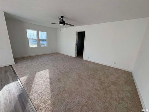 Tiny photo for 3305 Selmaville Road, Salem, IL 62881 (MLS # EB460242)