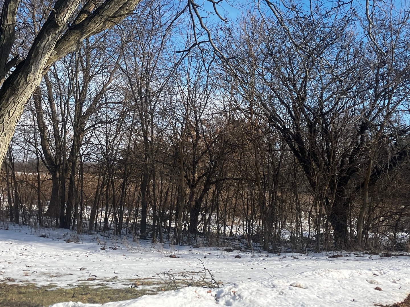 Lot 2 Timberline Drive