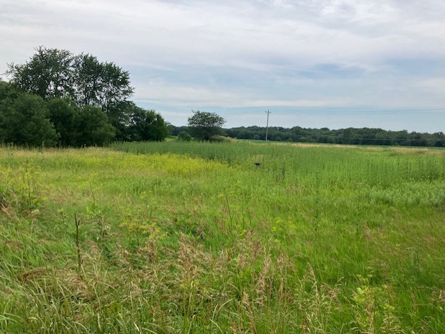 Lot 2 Timberline Drive