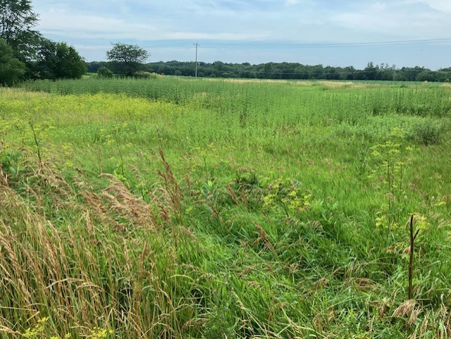 Lot 2 Timberline Drive