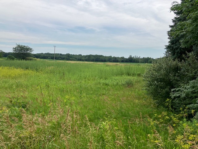 Lot 2 Timberline Drive