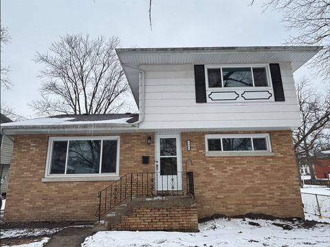 Photo of 1466 Wood Street, Crete, IL 60417 (MLS # 12561105)