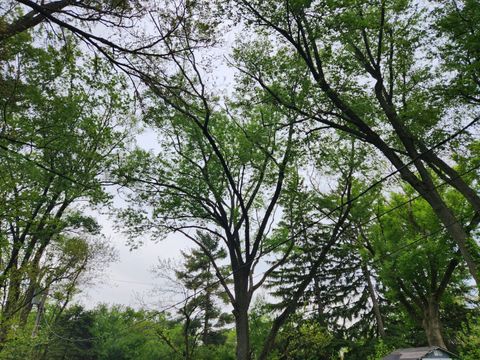 Tiny photo for 629 Jonquil Avenue, Lisle, IL 60532 (MLS # 12639254)