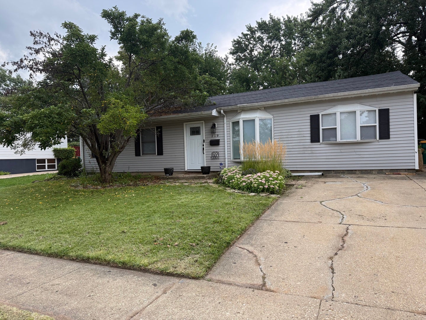 219 Murphy Drive