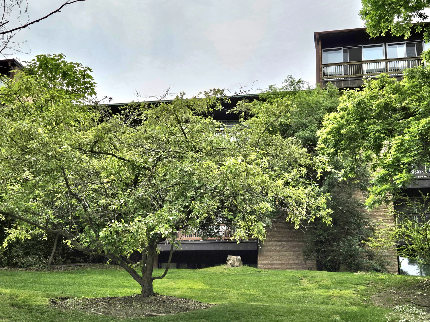 5600 Hillcrest Lane 2K