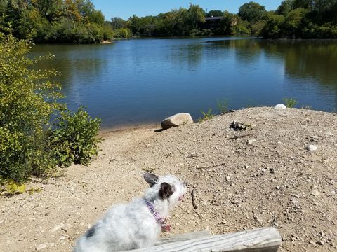 Tiny photo for 5600 Hillcrest Lane #2K, Lisle, IL 60532 (MLS # 12500143)