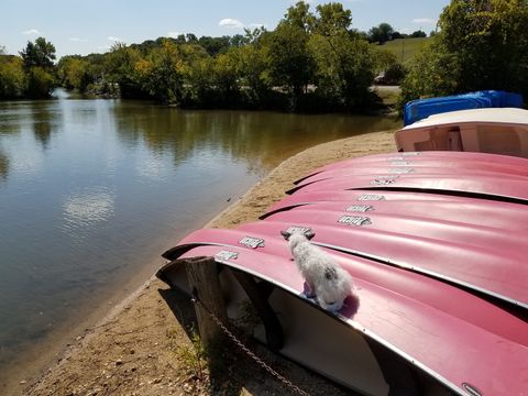 Tiny photo for 5600 Hillcrest Lane #2K, Lisle, IL 60532 (MLS # 12500143)