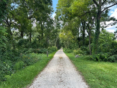 Tiny photo for N335 Cottonwood Drive, Wheaton, IL 60187 (MLS # 12743553)
