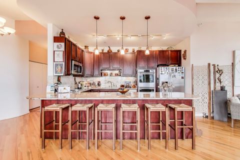 Tiny photo for Chicago, IL 60616 (MLS # 12495787)