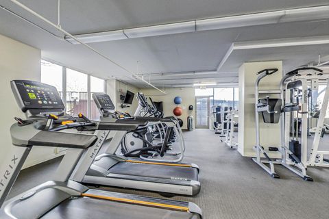 Tiny photo for Chicago, IL 60616 (MLS # 12495787)
