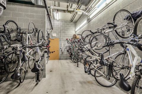Tiny photo for Chicago, IL 60616 (MLS # 12495787)