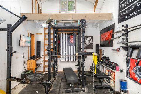 Tiny photo for 315 Congdon Avenue, Elgin, IL 60120 (MLS # 12509875)