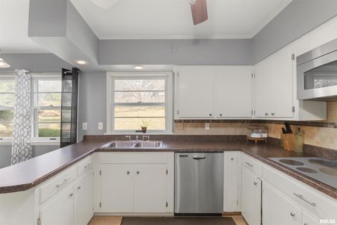 Tiny photo for 2552 37TH Avenue, Rock Island, IL 61201 (MLS # QC4269639)