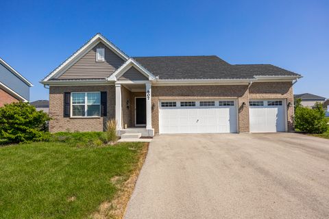 807 Picardy Place New Lenox IL 60451