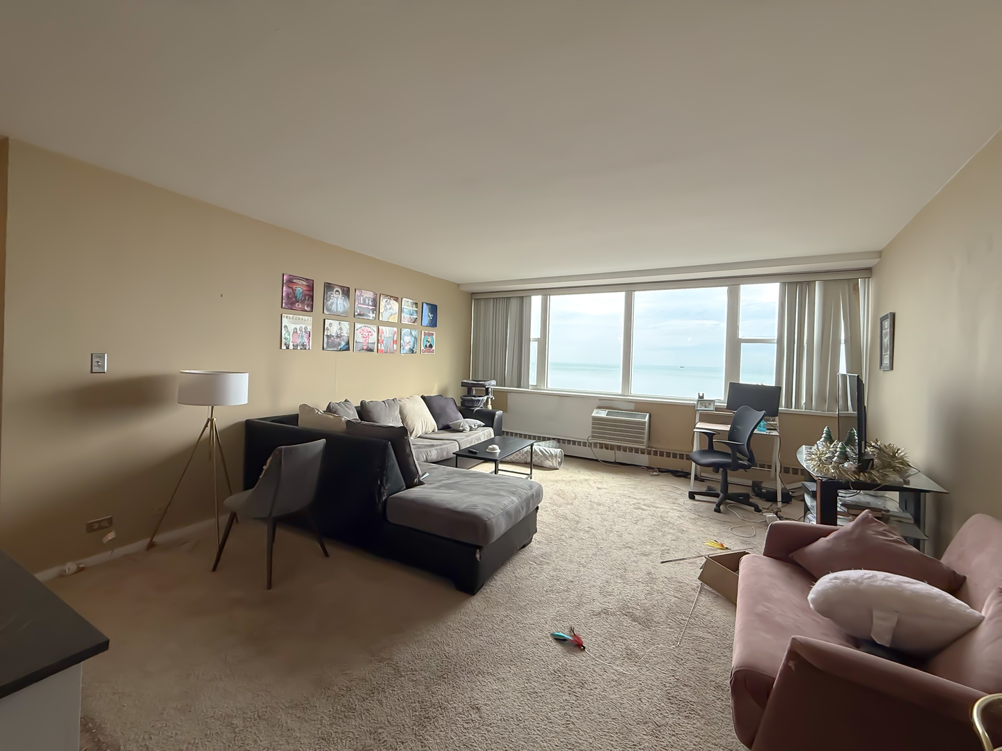 1150 N Lake Shore Drive 7B