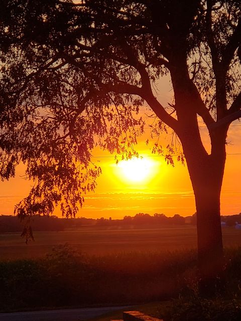 Tiny photo for Harvard, IL 60033 (MLS # 12563815)