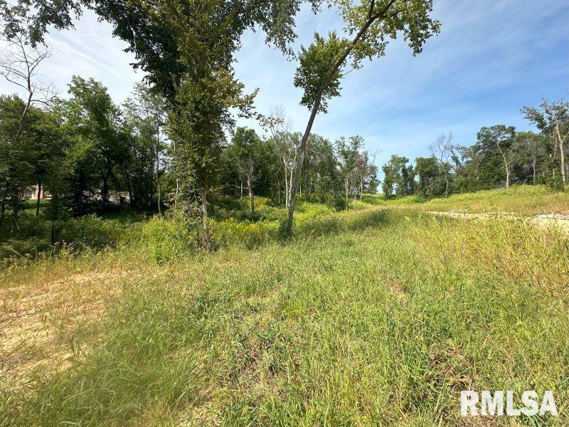 Lot 1 225TH Street