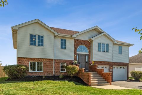 26103 S Ruby Street Monee IL 60449