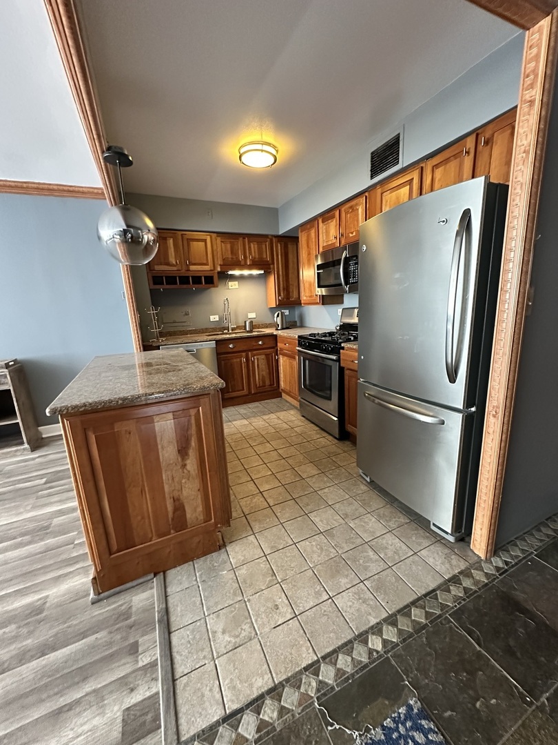 1000 N Lake Shore Drive 1007