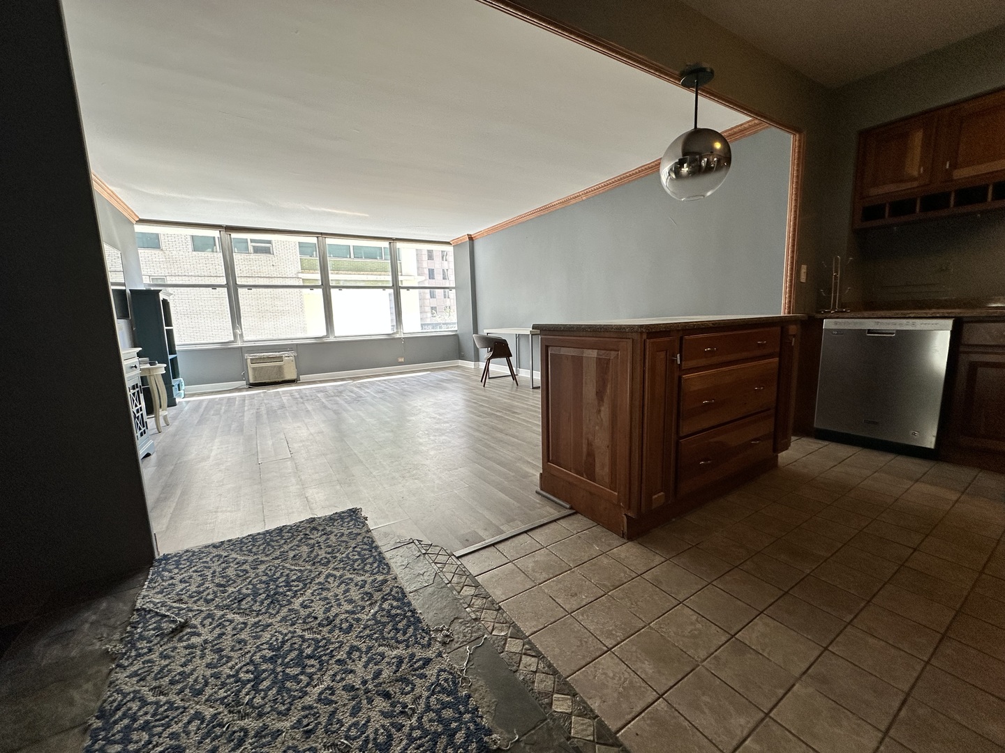 1000 N Lake Shore Drive 1007