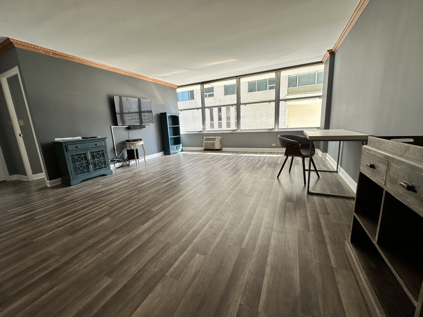 1000 N Lake Shore Drive 1007