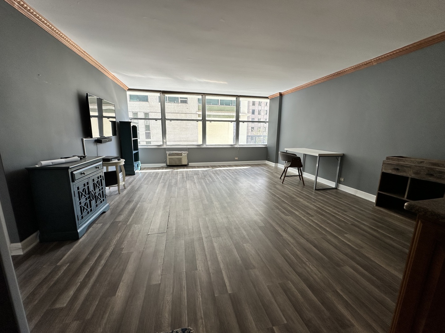 1000 N Lake Shore Drive 1007