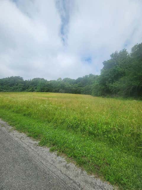 Tiny photo for 21298 Bean Ridge Road, Tamms, IL 62988 (MLS # 12673902)