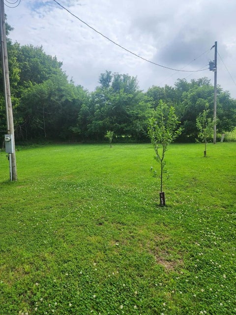 Tiny photo for 21298 Bean Ridge Road, Tamms, IL 62988 (MLS # 12673902)