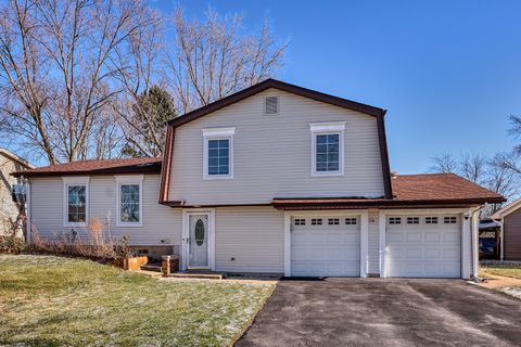 A home in Elk Grove Village